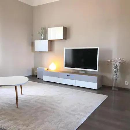 Coeur De Appartement Metz